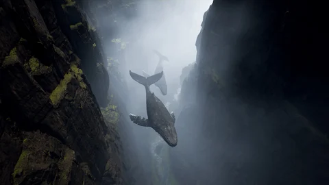 Whales floating above Nordic landscapes — view 1