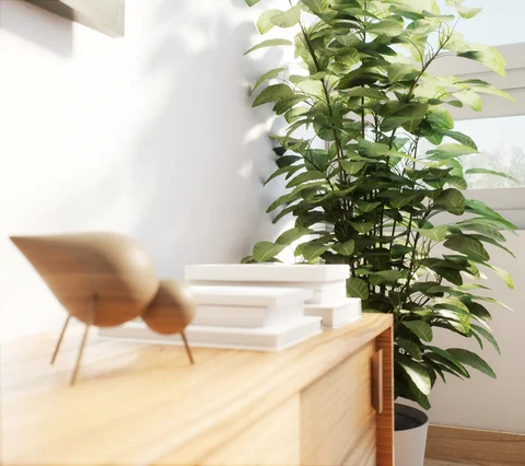 Interior spaces with plants and soft daylight — view 1