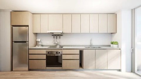 Kitchen, plants and interior details — view 3