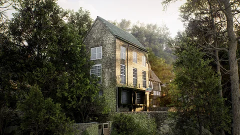 A woodland house in soft daylight — view 3