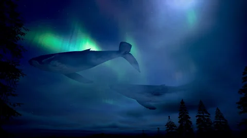Whales floating above Nordic landscapes — view 3