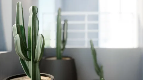 Interior spaces with plants and soft daylight — view 4