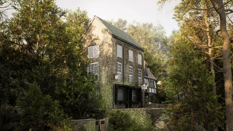 A woodland house in soft daylight — view 4