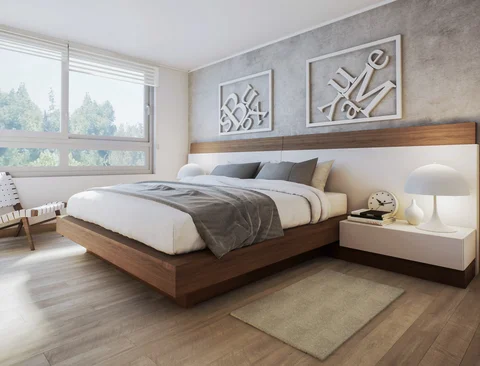 Interior spaces with plants and soft daylight — view 5