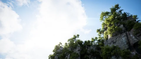 Sunlit foliage along a limestone cliff