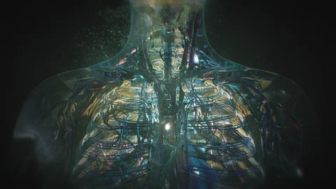 Chest detail of a translucent human figure
