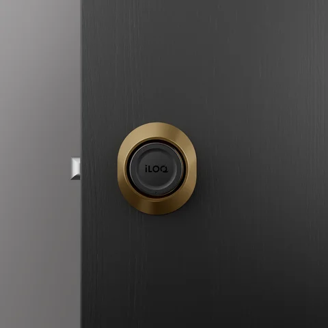 Round brass door lock against a dark surface