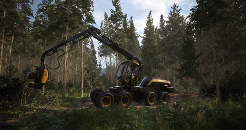 Forestry machine working among tall trees