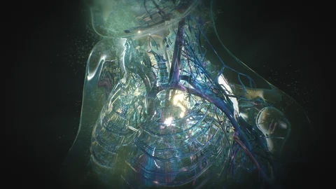 Close view of translucent anatomical structures