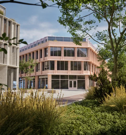 Modern office building viewed through garden planting