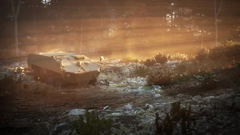 Armoured vehicle in warm forest light