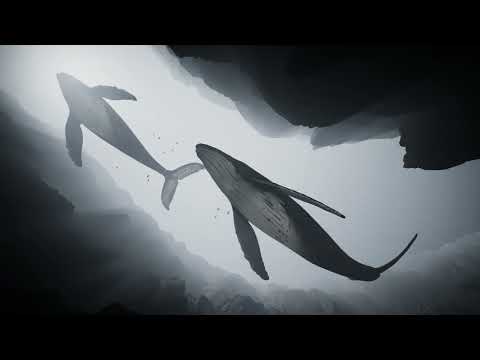 Thumbnail for LS whale 04 0000